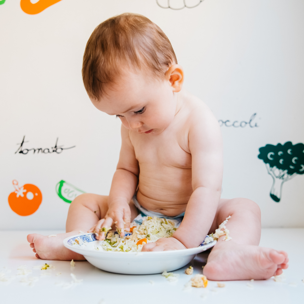 baby food puree recipes