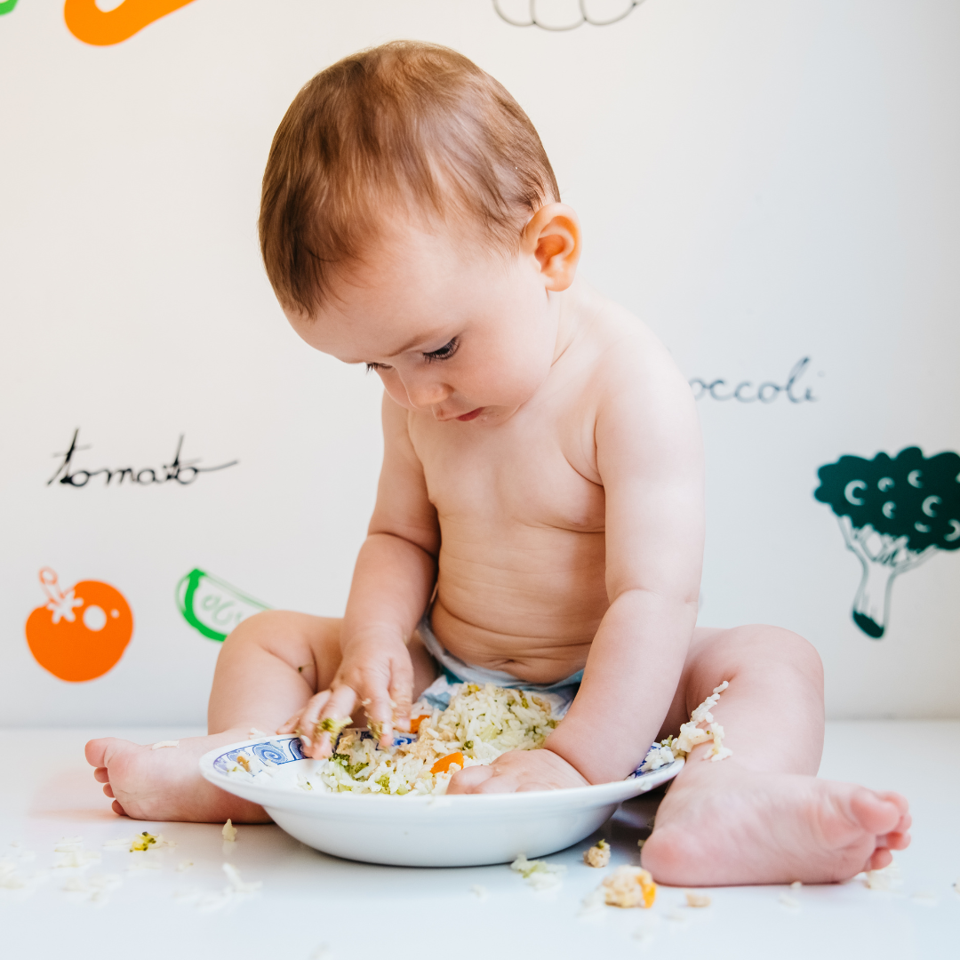 10 Dinner Ideas for Baby (SO Good & Healthy!) - Pribbles