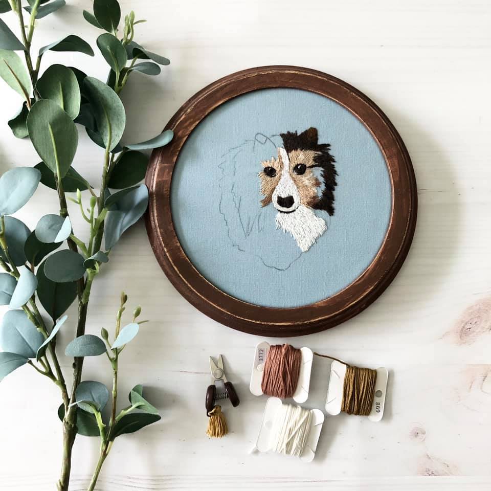 Pet portraits