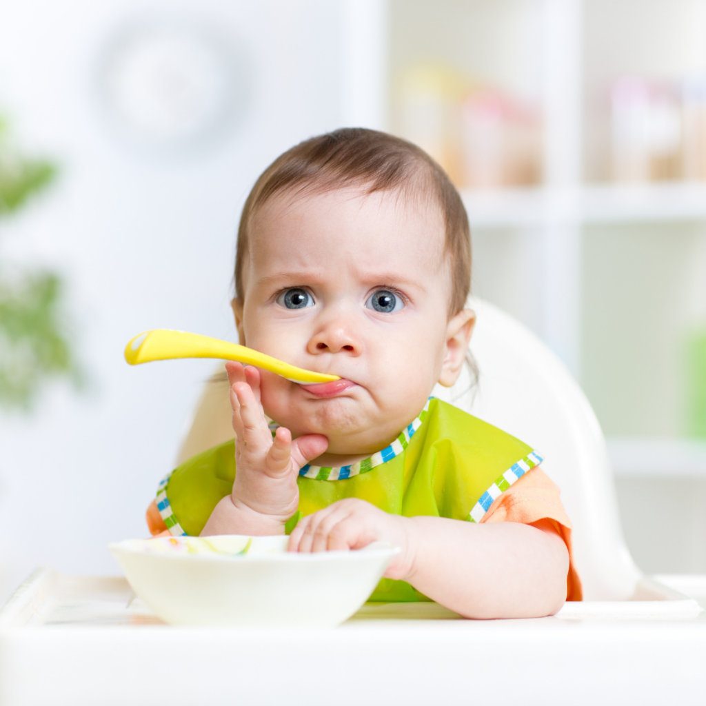 baby food recipes stage 2