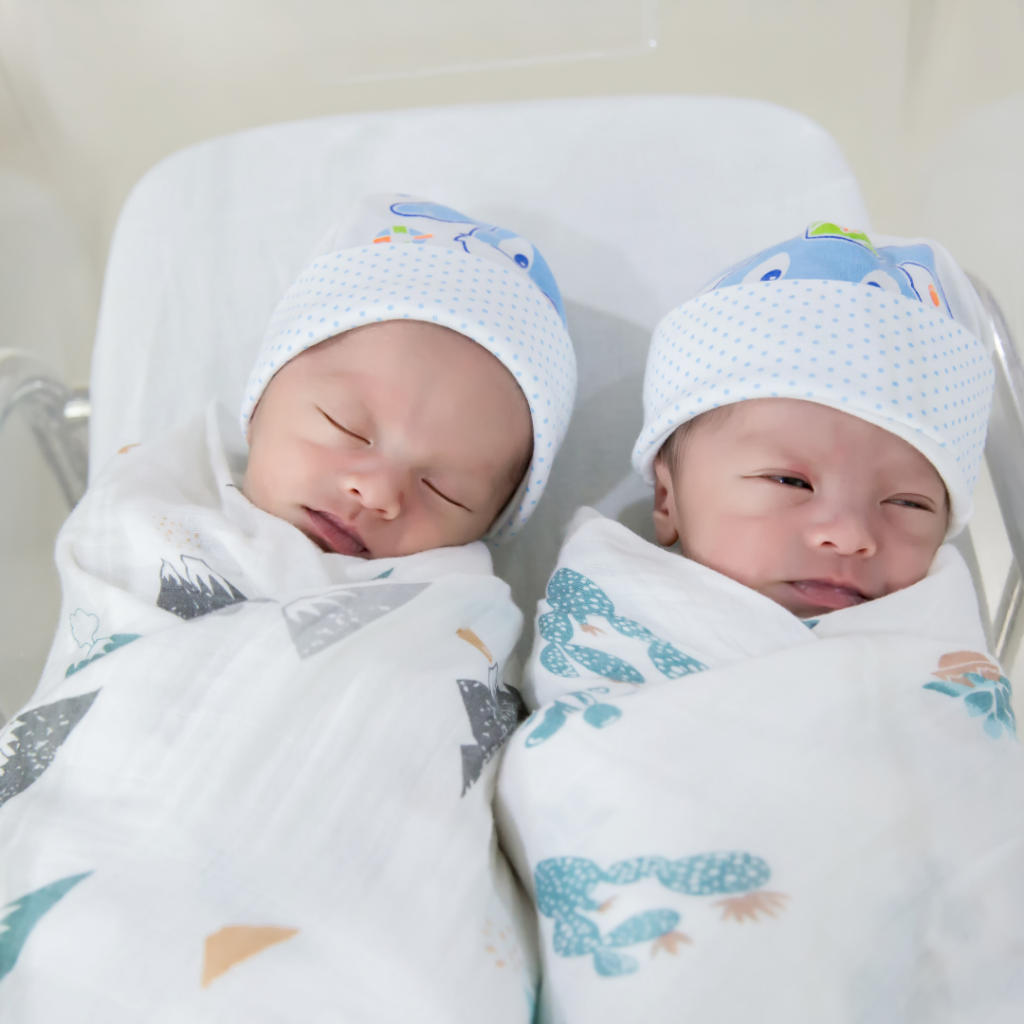 twin baby products