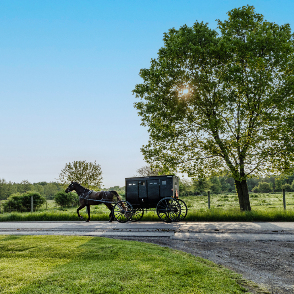 amish baby names