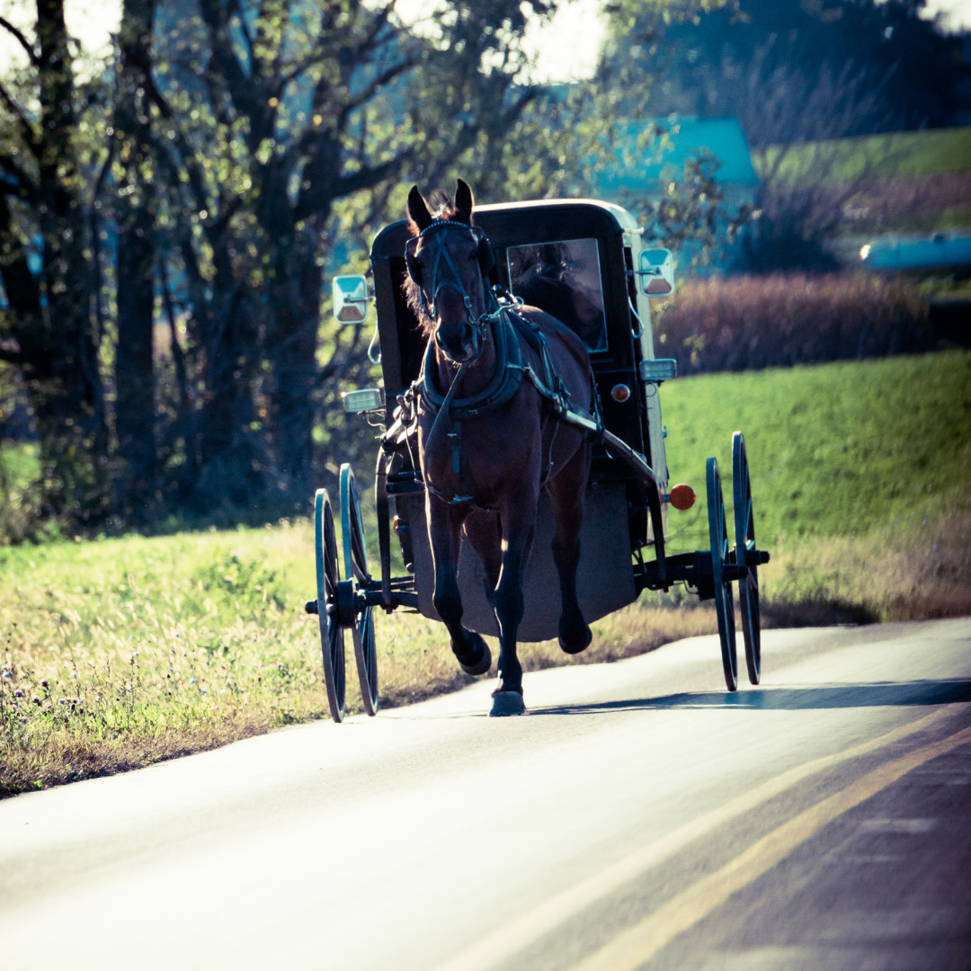 175+ Amazing Amish Names (Traditional and Biblical Boy and Girl Names
