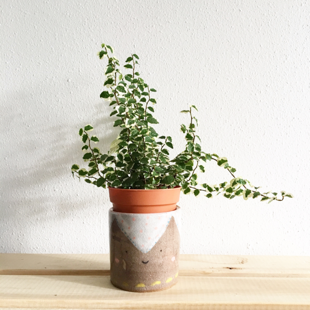 potted plant business
