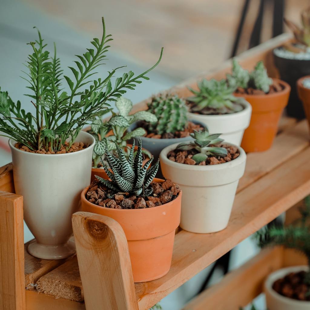 potted plant business how to