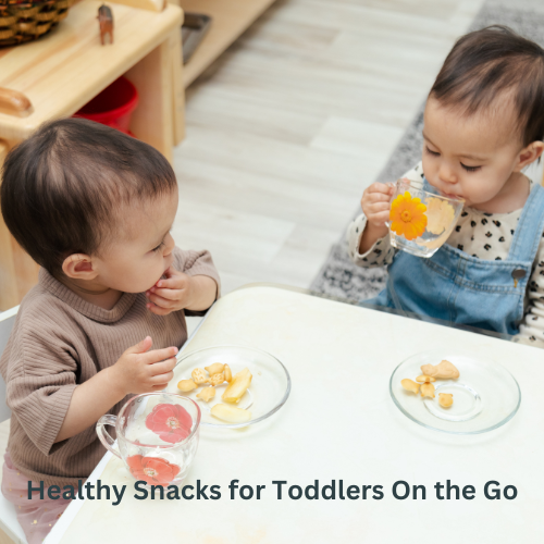 10 Healthy Snacks for Toddlers On the Go