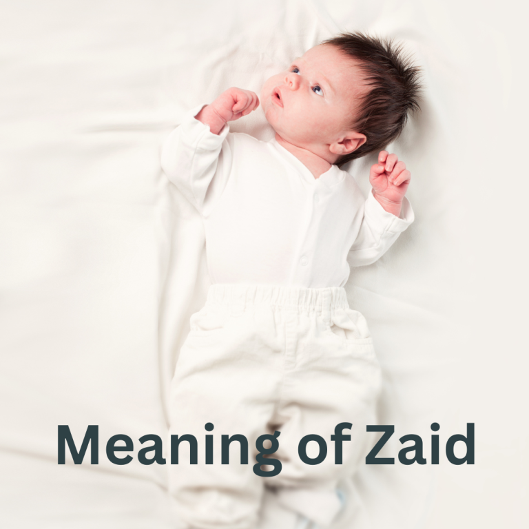 Zaid name meaning (Nicknames plus cool alternatives & more!)
