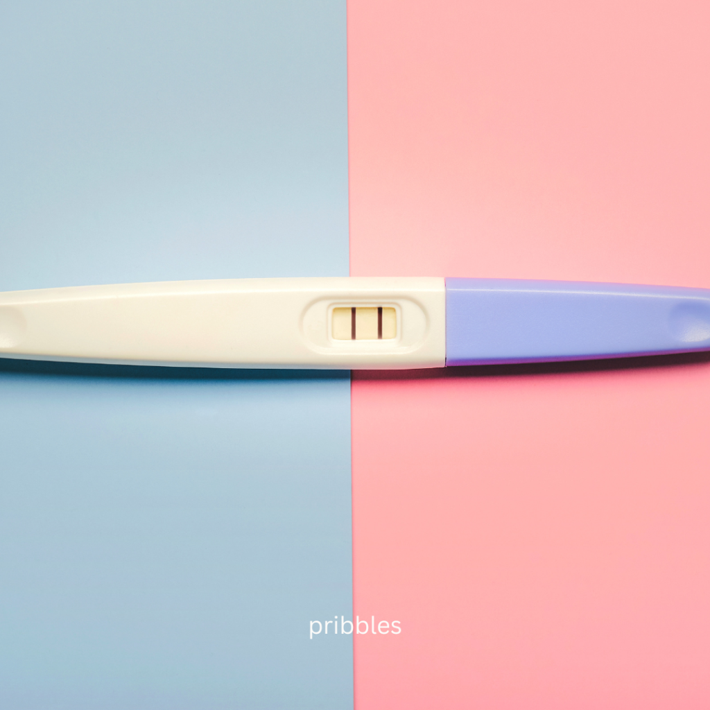 pregnancy again