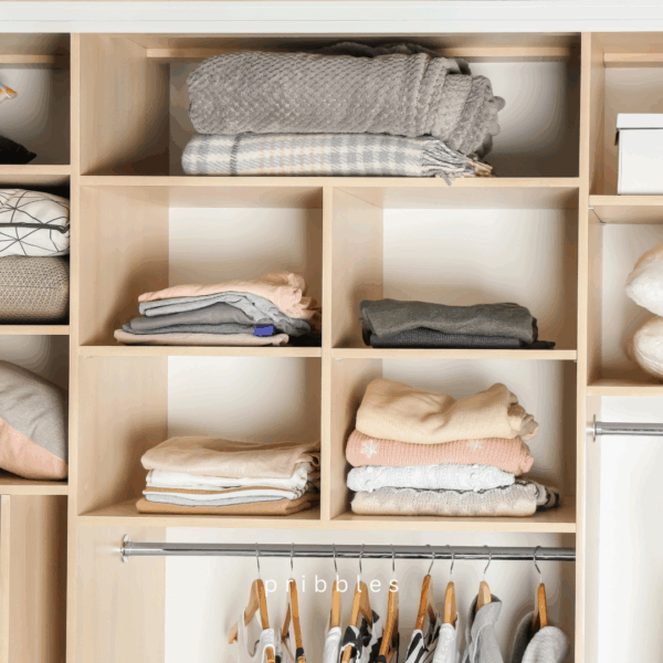 17 Genius Small Closet Organization Hacks You Need In Your Life Pribbles