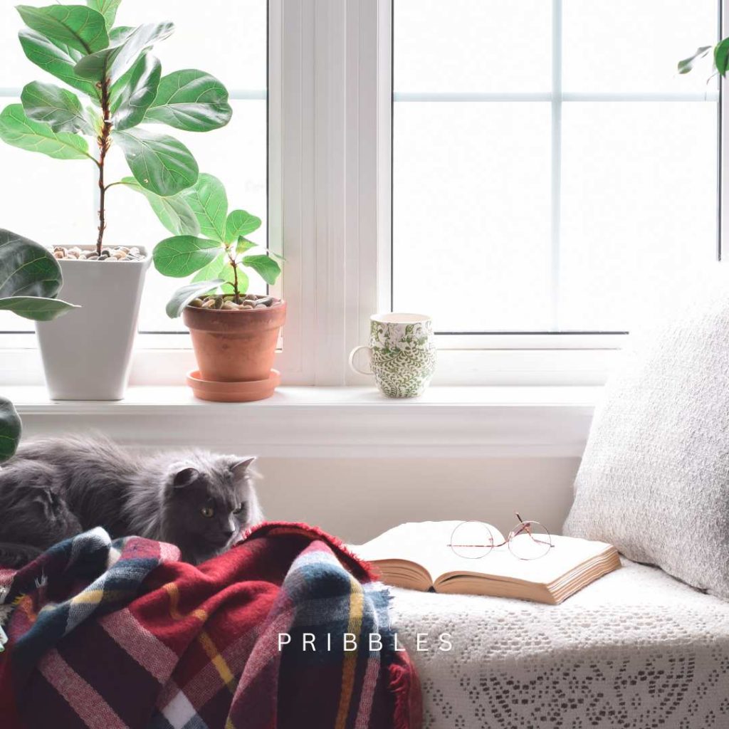 reading nook