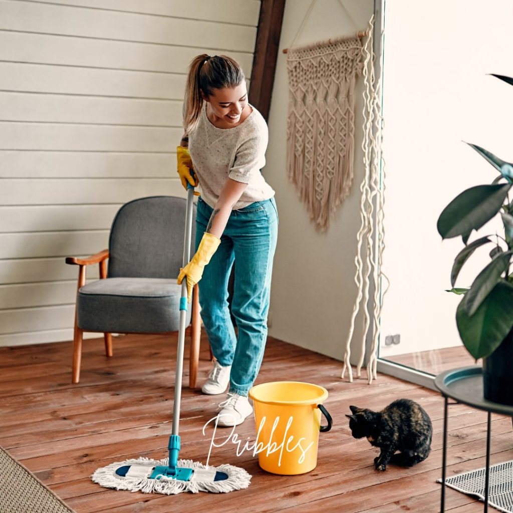 cleaning schedule for working moms