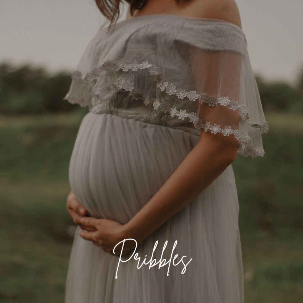 thanksgiving dress for pregnancy