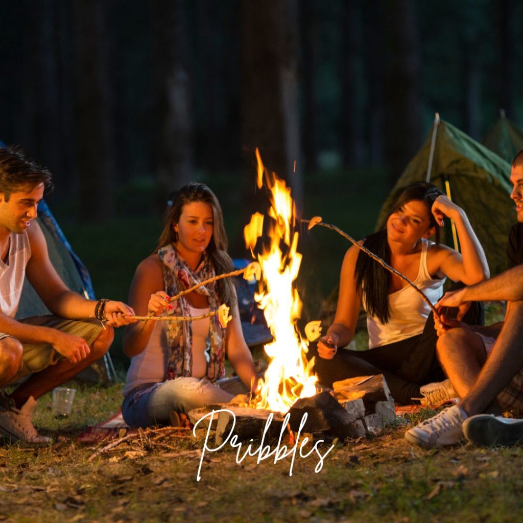 camping essentials list