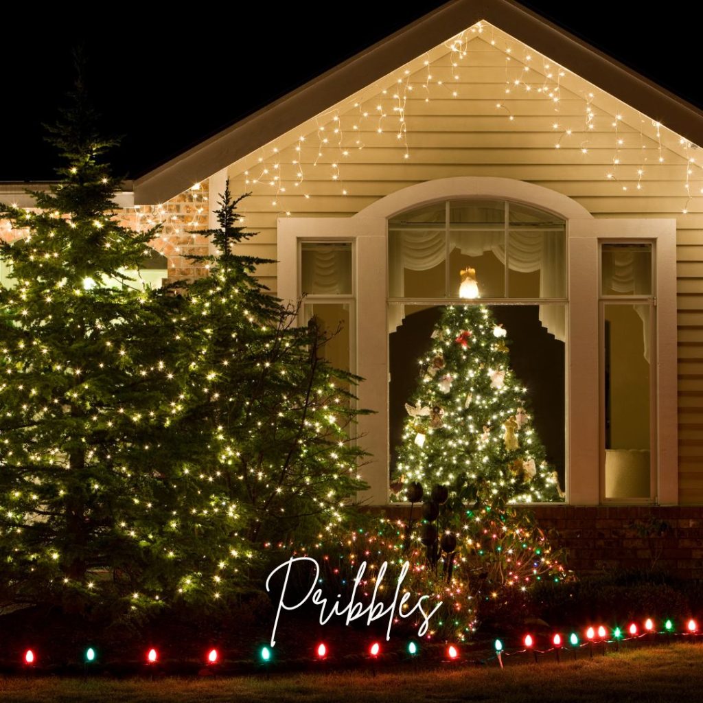 christmas lights