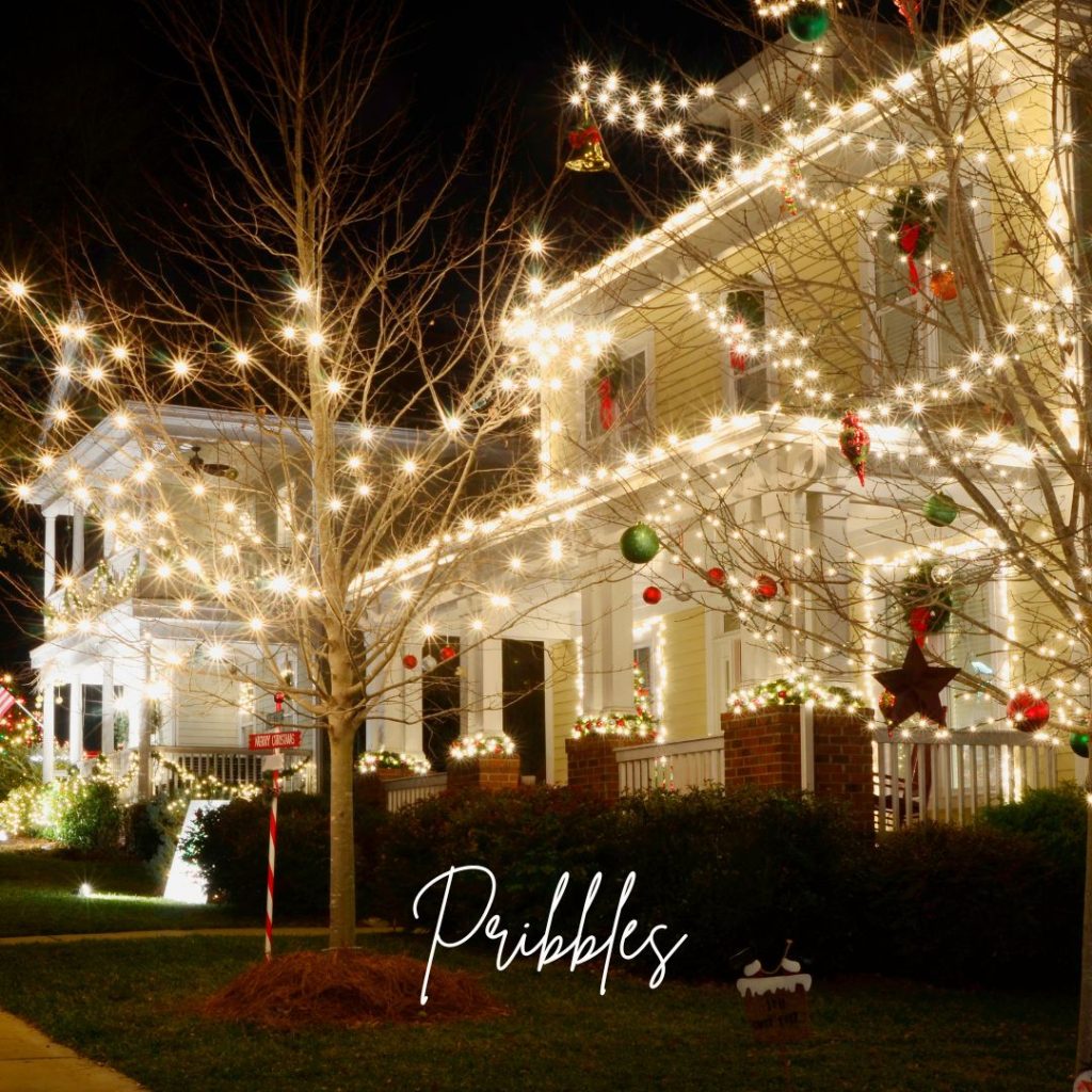 christmas lights tour