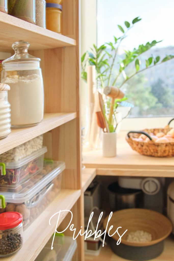 small kitchen pantry ideas