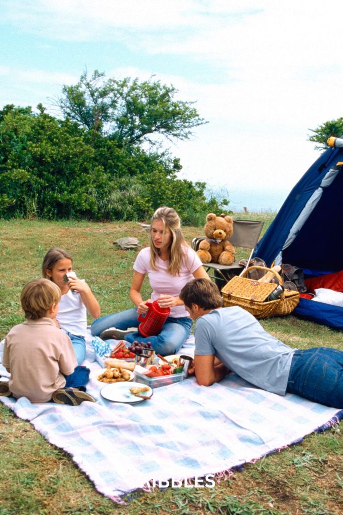 easy camping lunch ideas