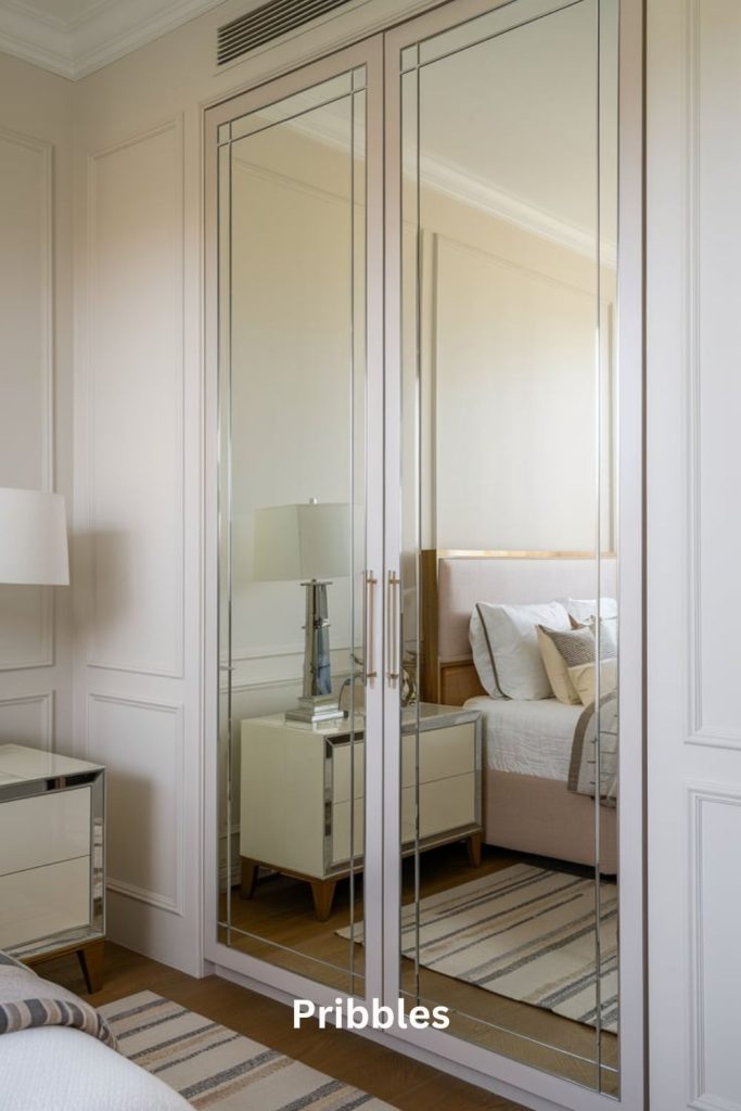 mirrored doors