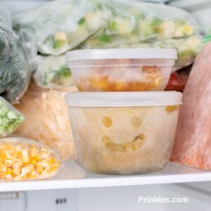 25 Freezer Meals for New Moms