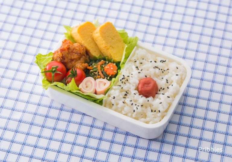 15 Bento Box Meal Ideas for Adults (That Are Easy and Delicious)