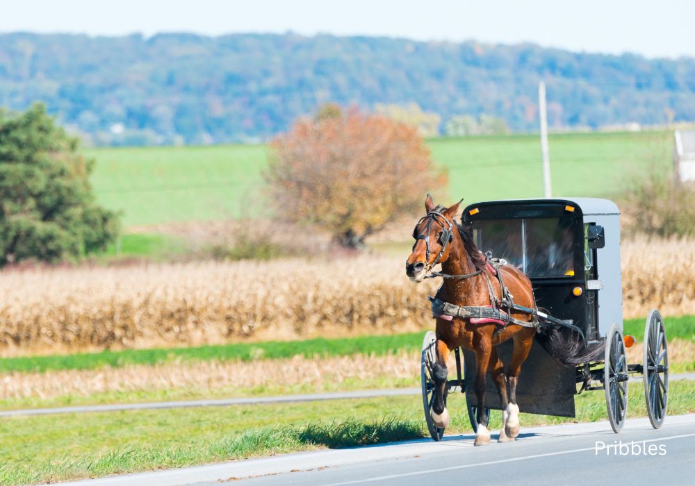 amish vacations