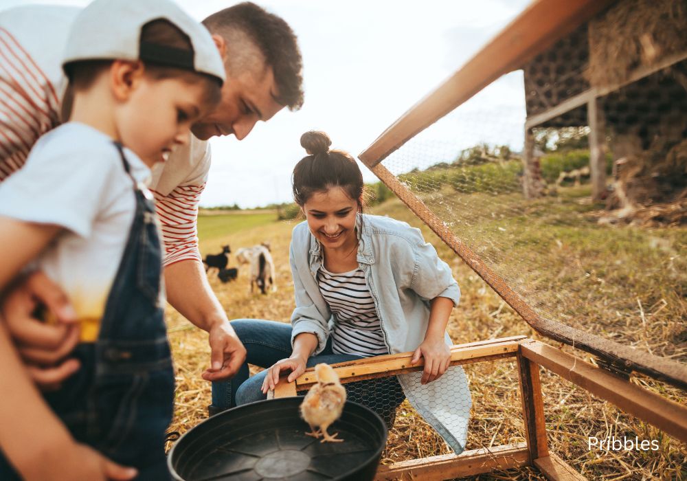 farm vacation