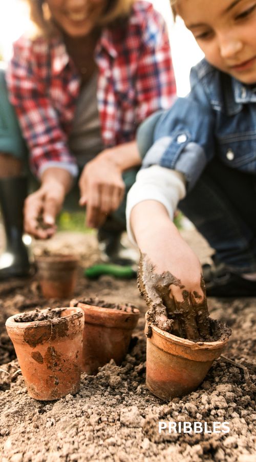 gardening