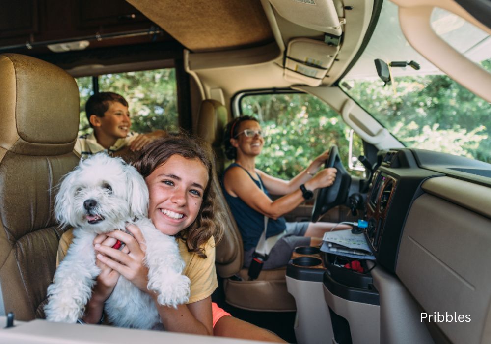 road trip