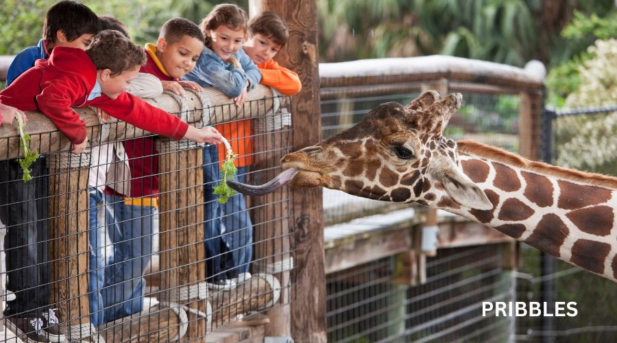 OKC ZOO