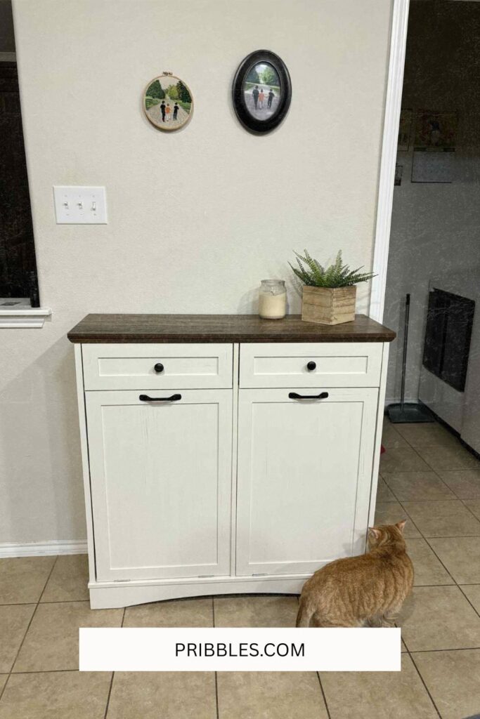 kitchen trash can storage
