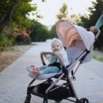 The *BEST* Baby Strollers of the Year (And How to Choose the Right One for Your Family)