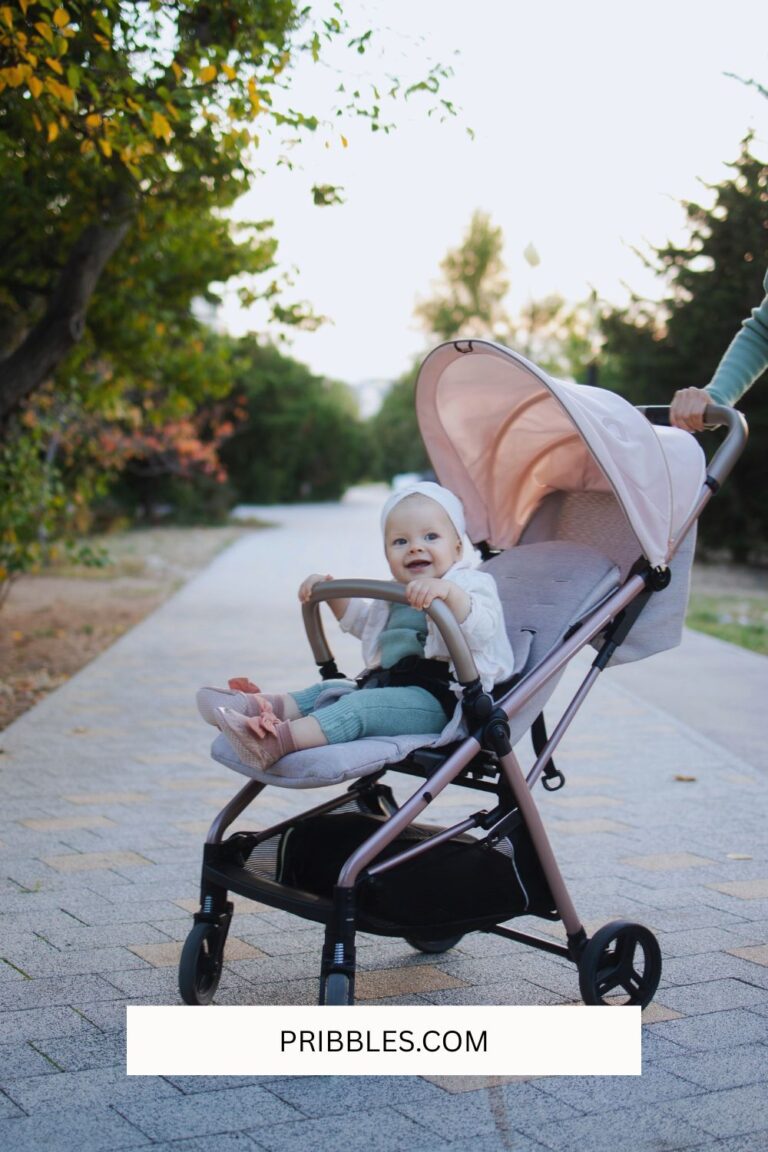 The *BEST* Baby Strollers of the Year (And How to Choose the Right One for Your Family)
