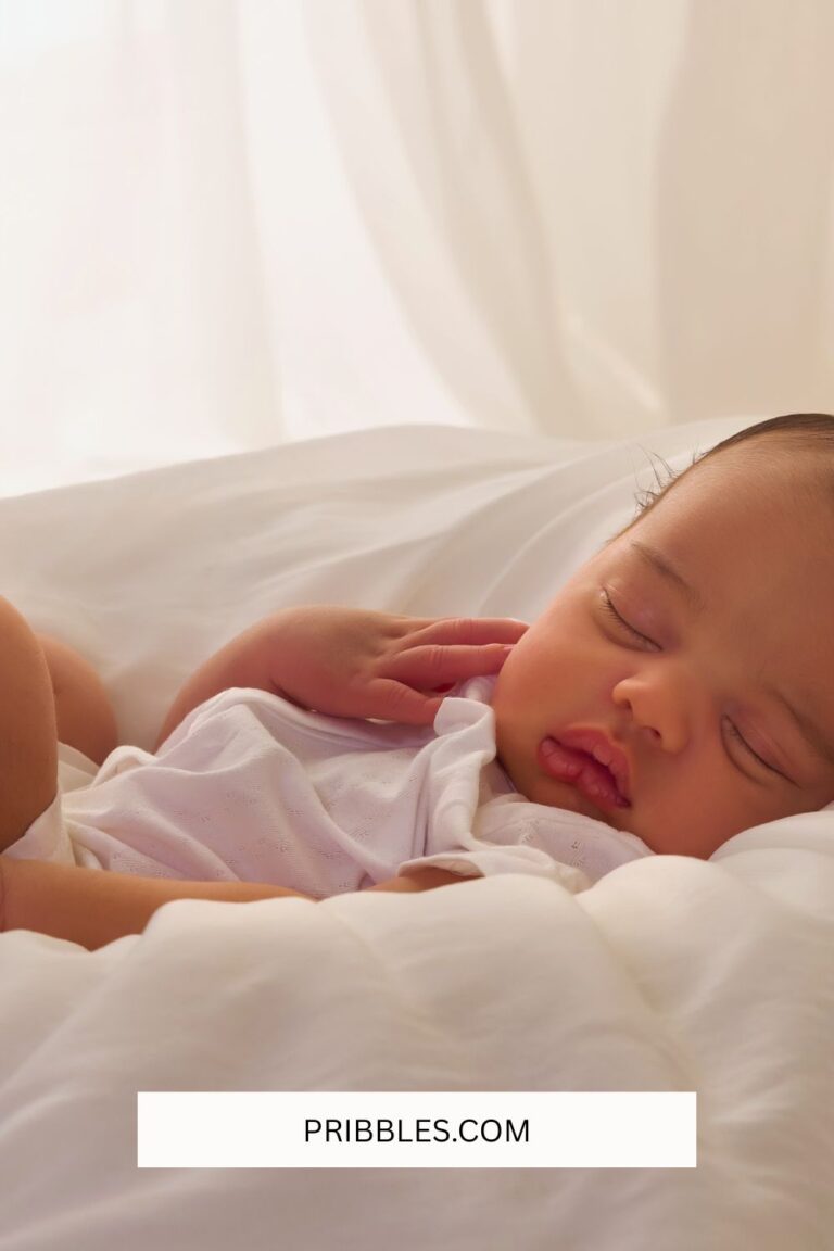 Dock-A-Tot Loungers: The Luxury Baby Essential Moms Can’t Stop Talking About