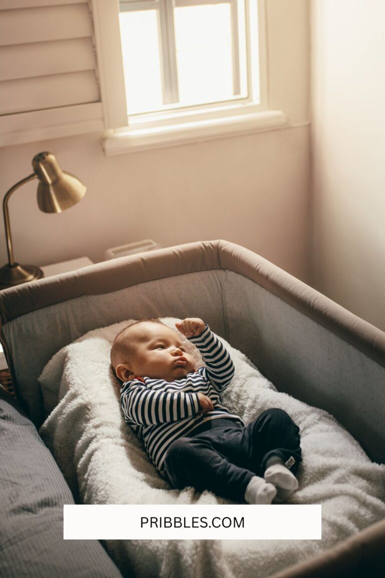Bedside Cribs Compared: Which Co-Sleeper Is Right for Your Baby?